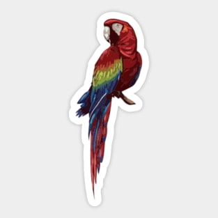 Scarlet Macaw Digital Painting Sticker